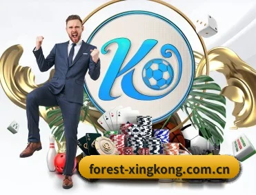 xingkong官网 APP
