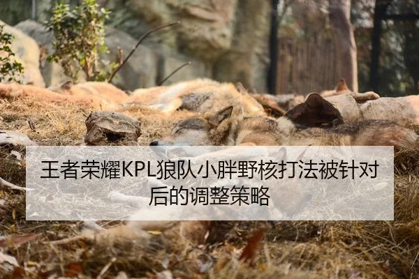 王者荣耀KPL狼队小胖野核打法被针对后的调整策略