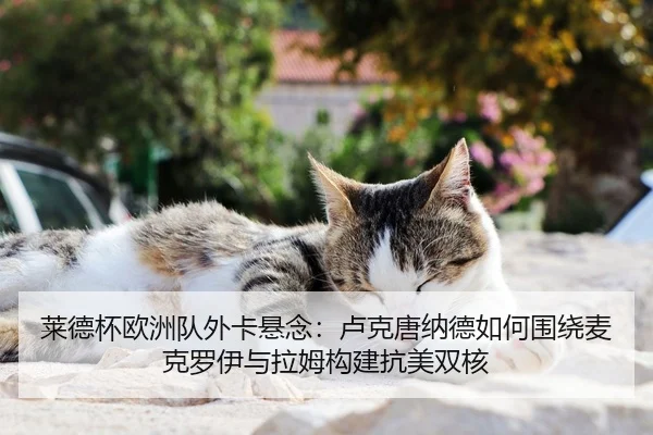 莱德杯欧洲队外卡悬念：卢克唐纳德如何围绕麦克罗伊与拉姆构建抗美双核