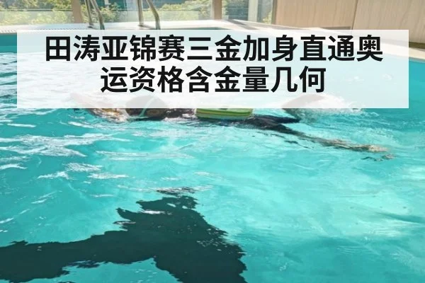 田涛亚锦赛三金加身直通奥运资格含金量几何