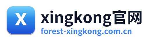 xingkong官网 Logo